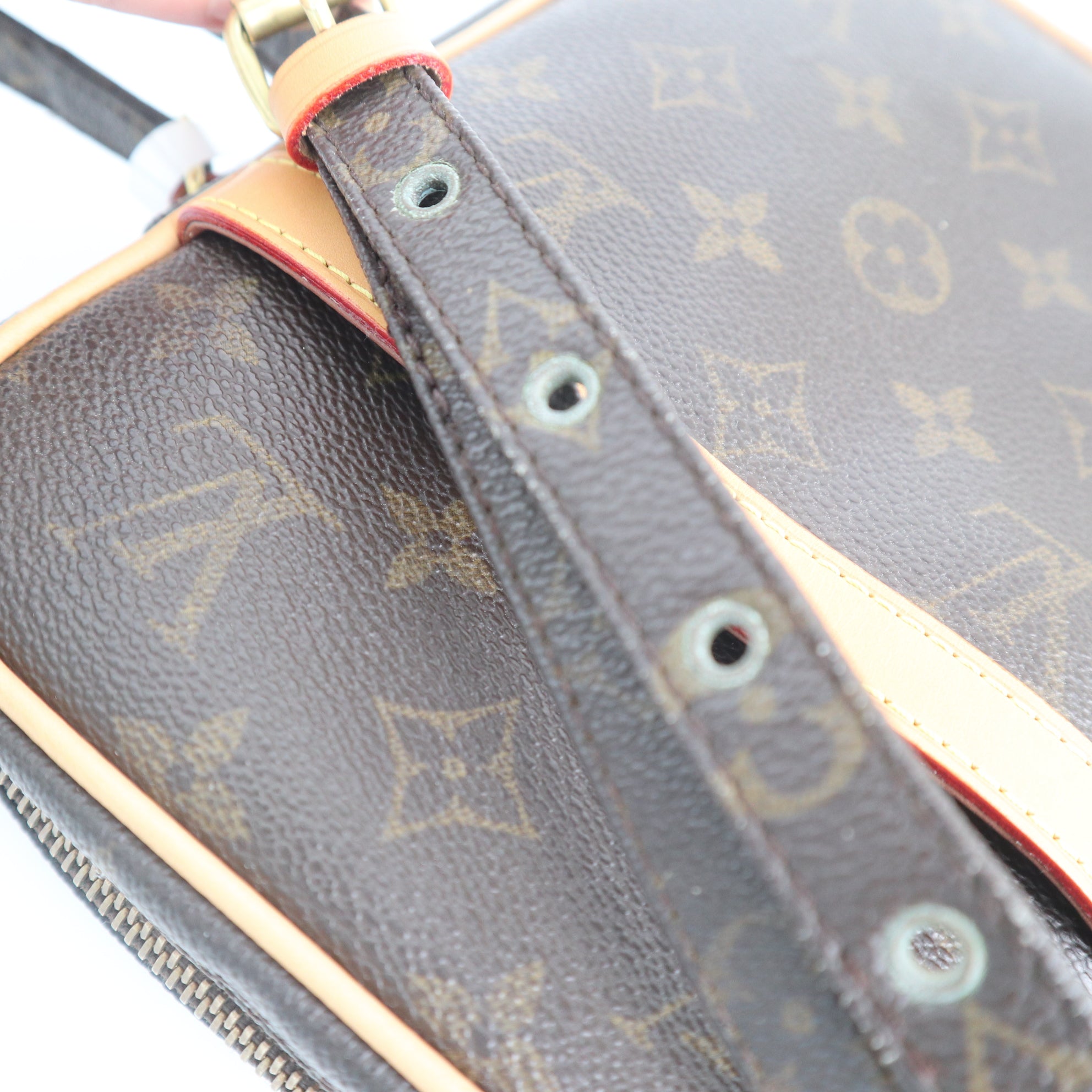 C1060 Louis Vuitton Monogram Danube crossbody bag-Pre Owned