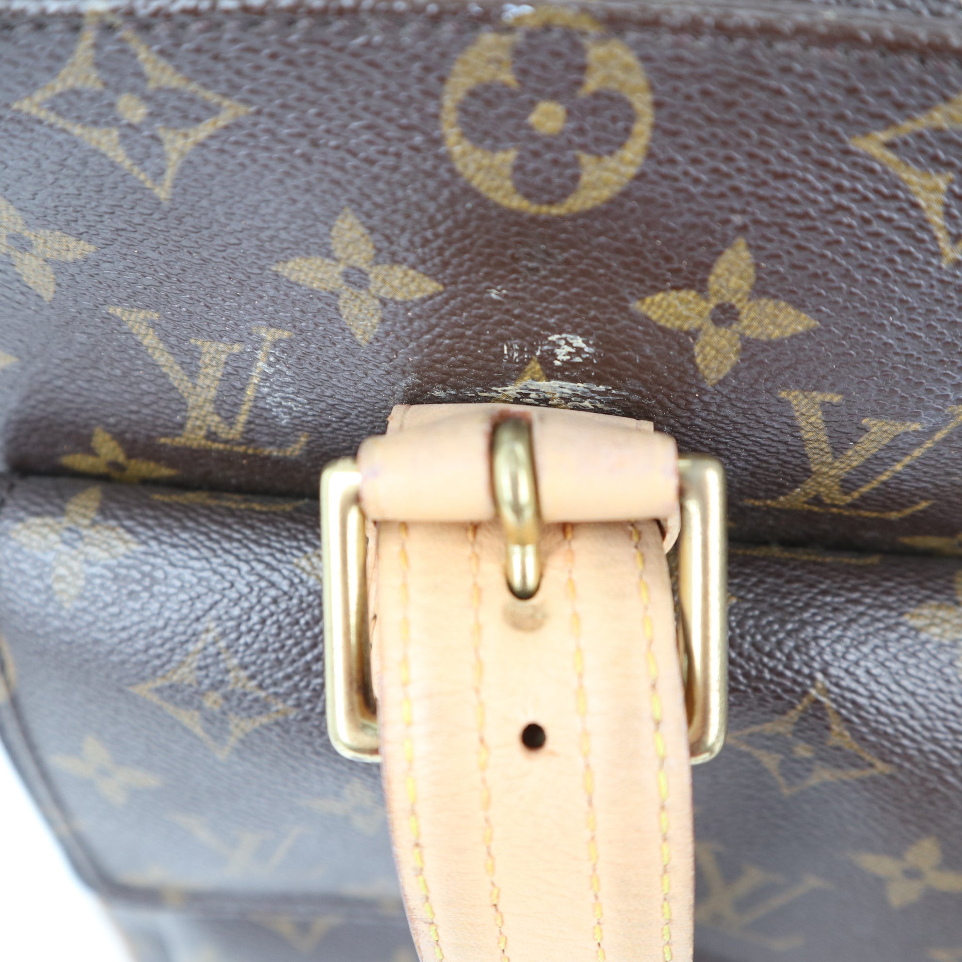 C1224R Louis Vuitton Monogram Multipli Cite Handbag-Pre Owned