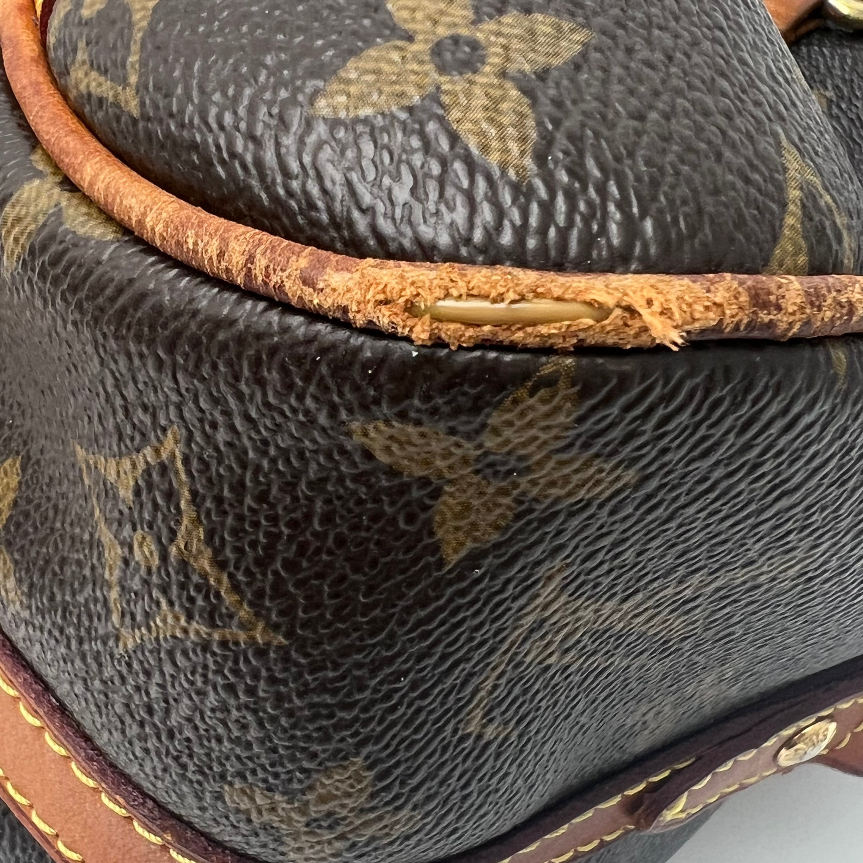 C1399 Louis Vuitton Monogram Canvas Stresa PM-Pre Owned