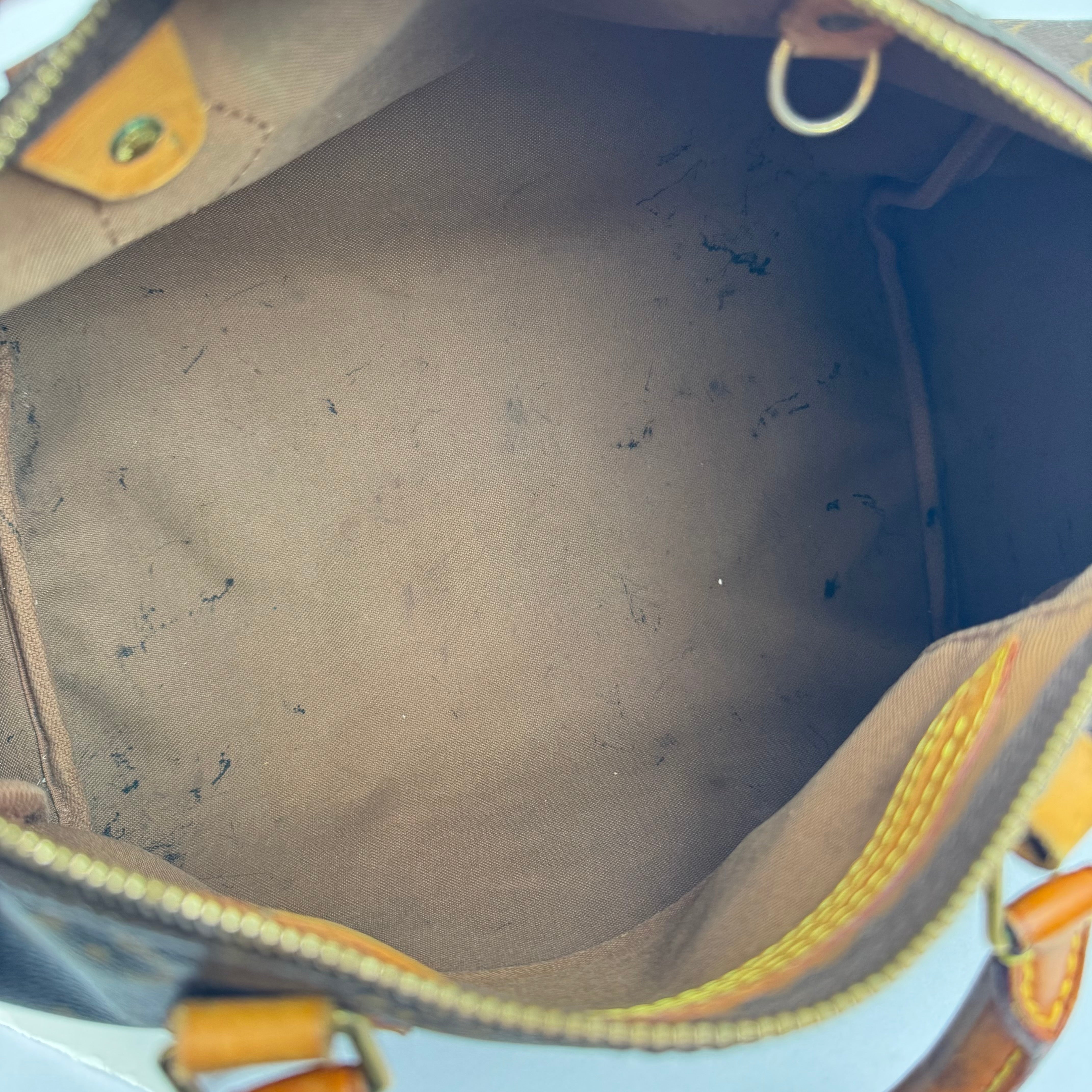 Louis Vuitton Speedy 30 Bag- Pre Owned