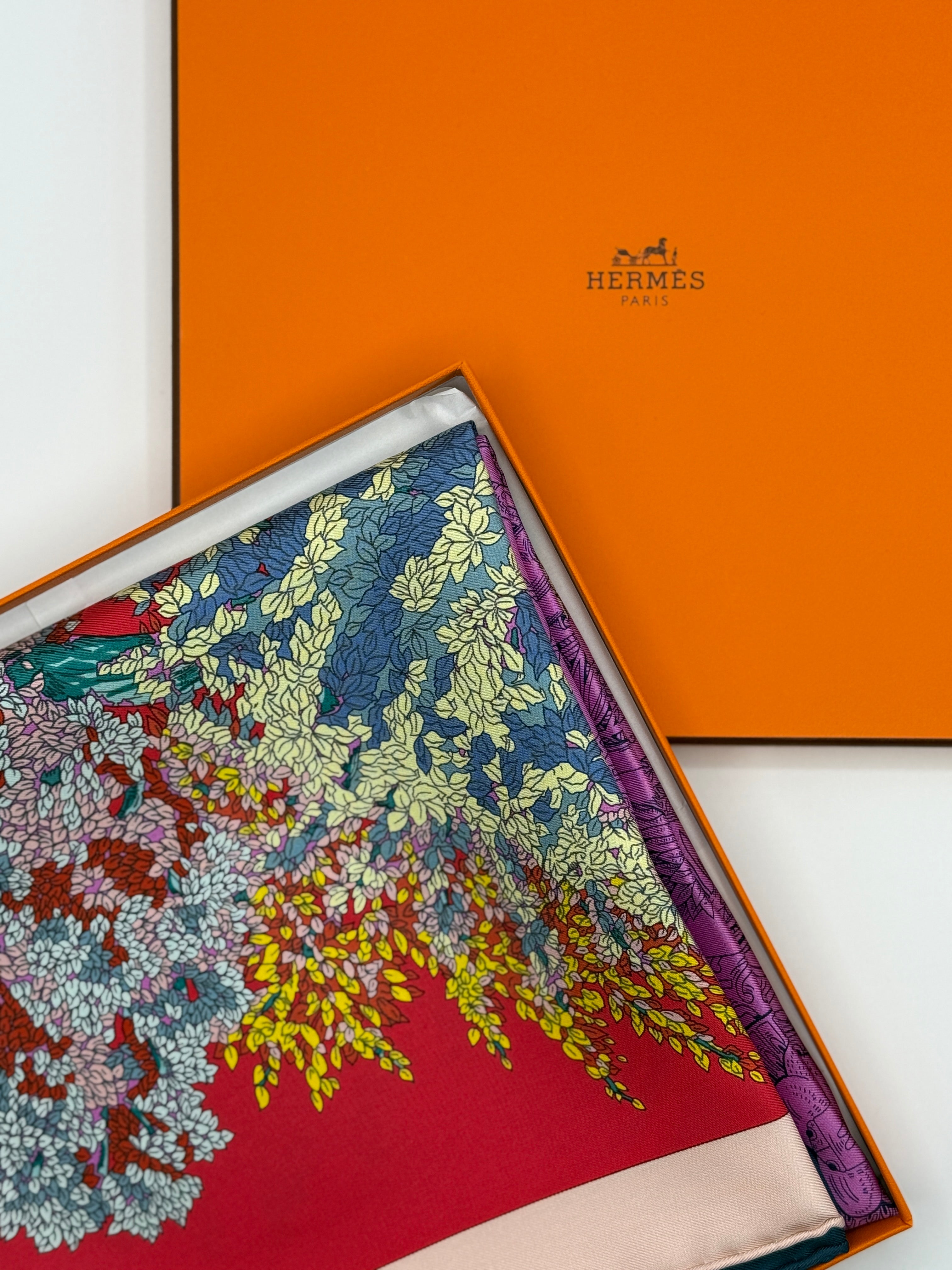 Hermès Scarf