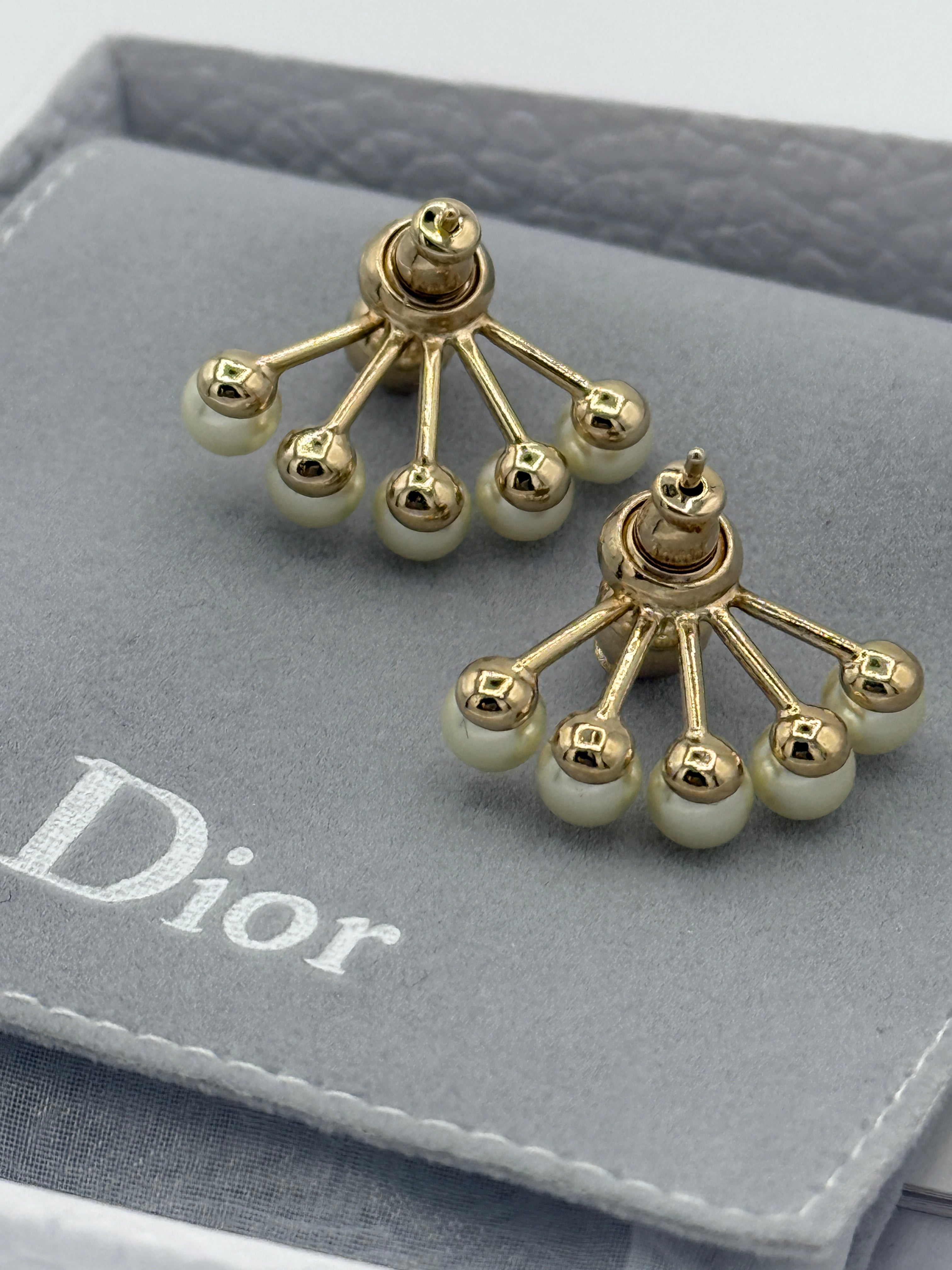 Dior Petit CD earrings