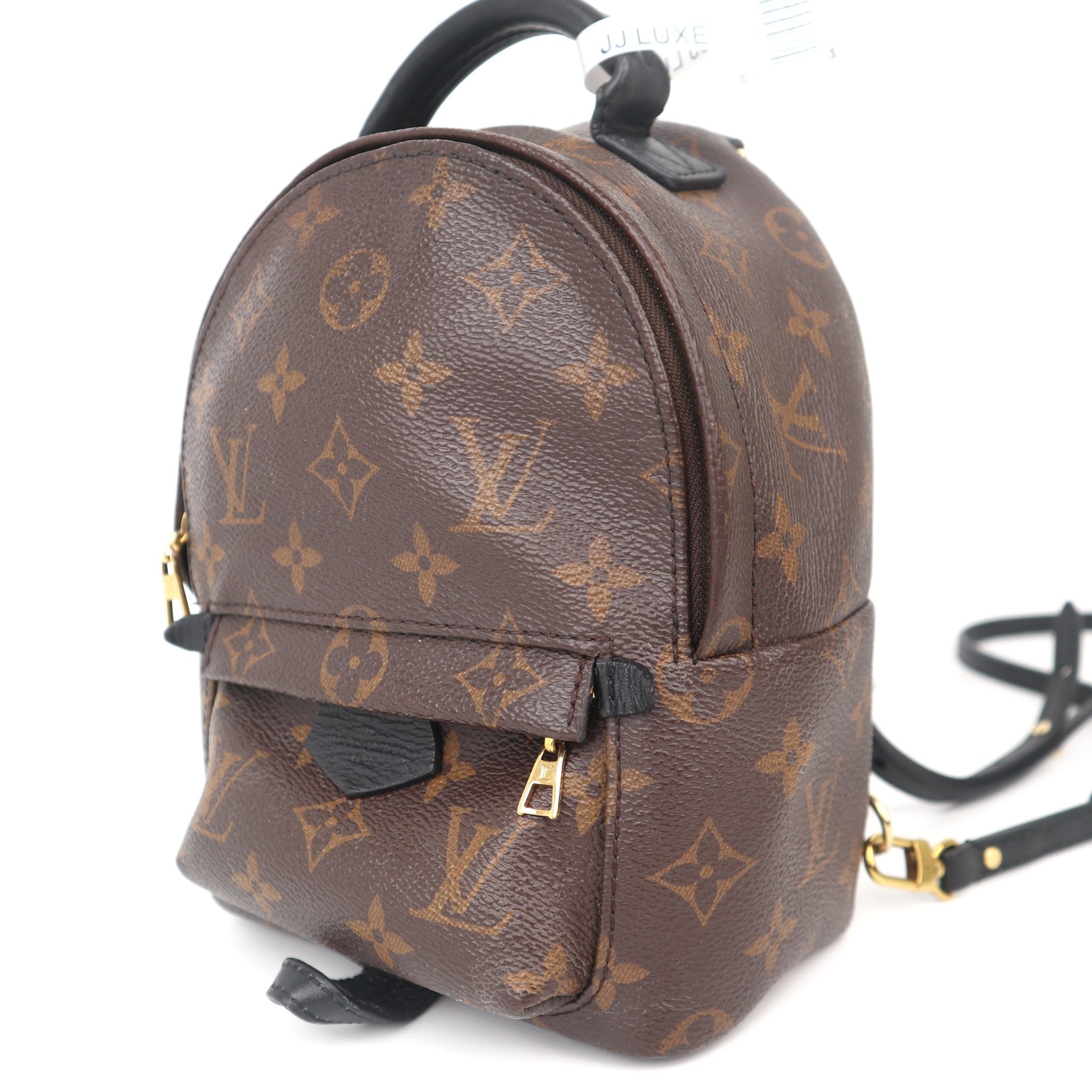 C1110 Louis Vuitton Monogram Palm Springs Mini Backpack-Pre Owned