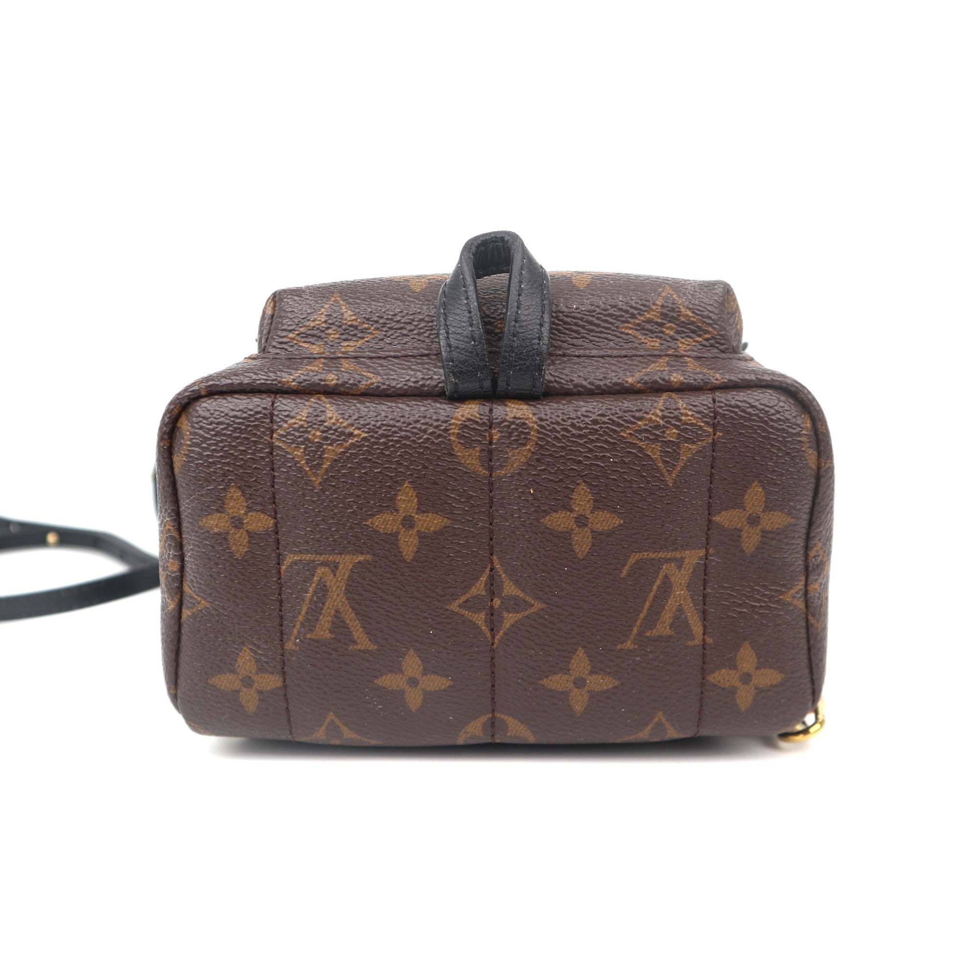 C1110 Louis Vuitton Monogram Palm Springs Mini Backpack-Pre Owned