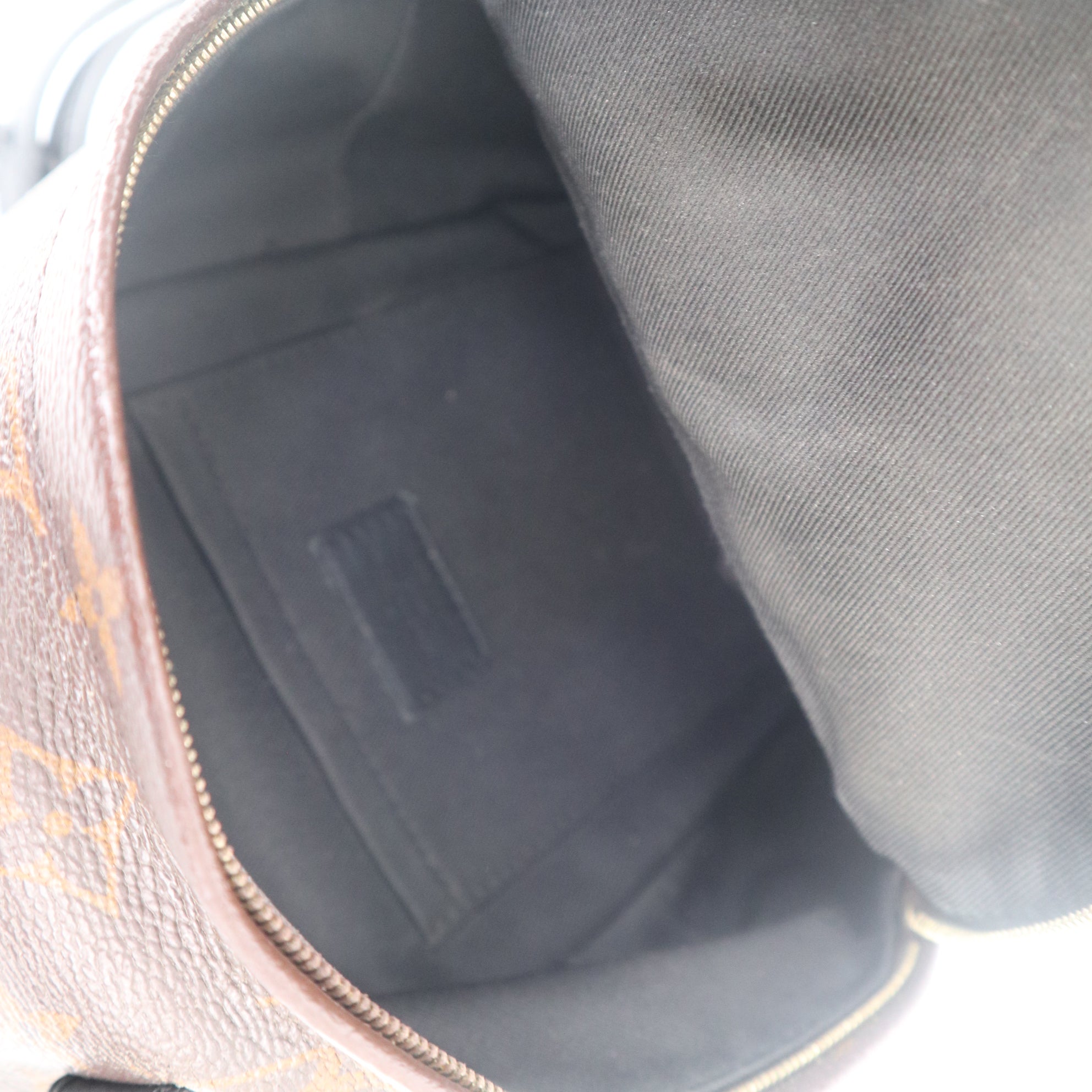 C1110 Louis Vuitton Monogram Palm Springs Mini Backpack-Pre Owned
