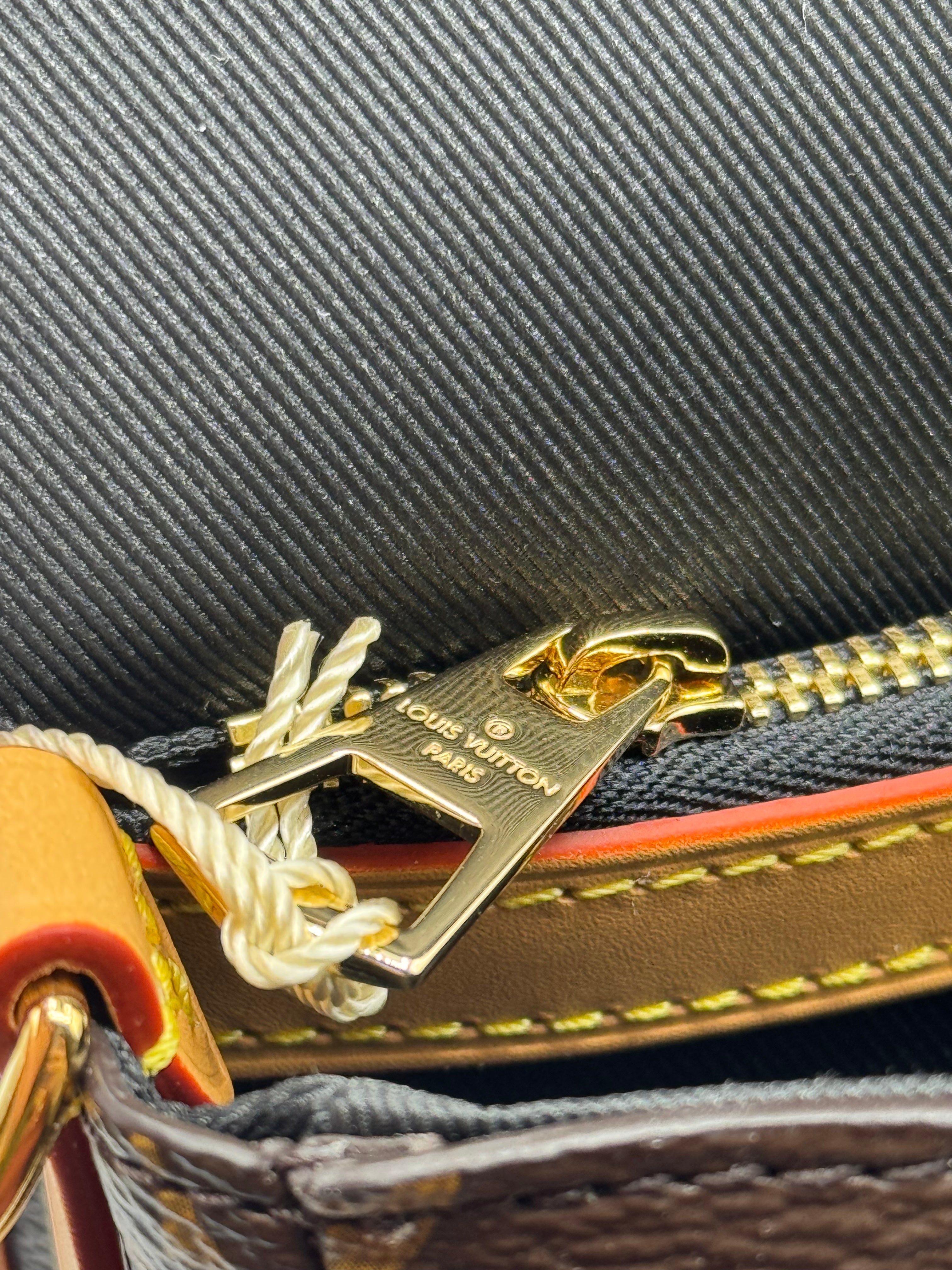 Louis Vuitton Diane Canvas Shoulder Bag